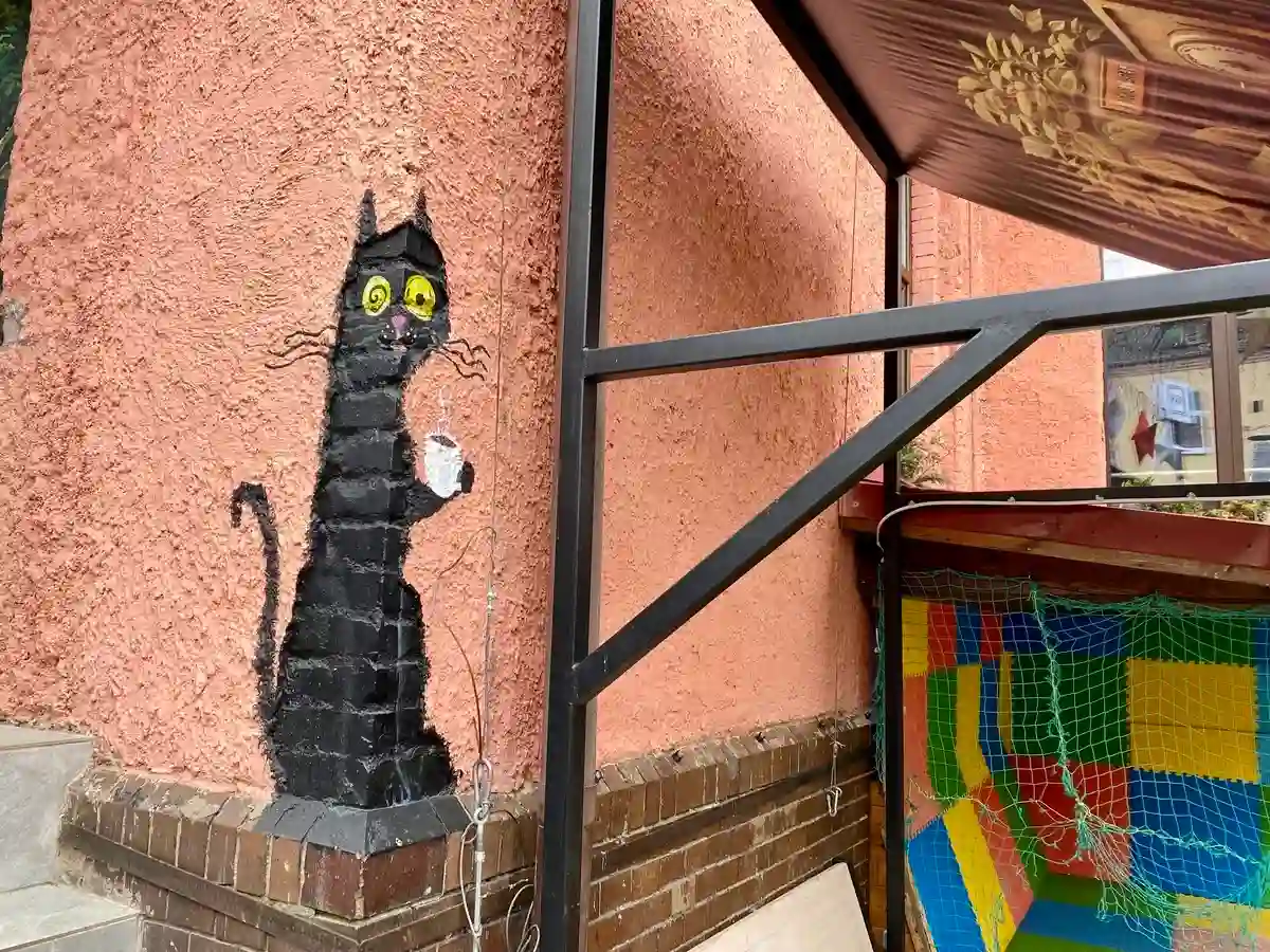 Кот в Зеленоградске