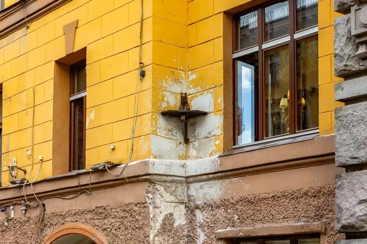 Кот Елисей в Петербурге