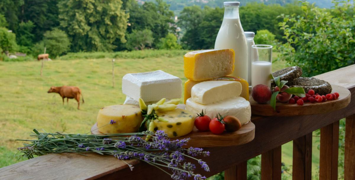 Белгородская молочная продукция и сыры
