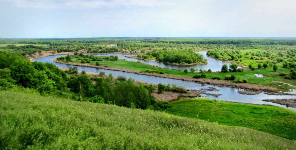 Воронинский заповедник в Тамбовской области