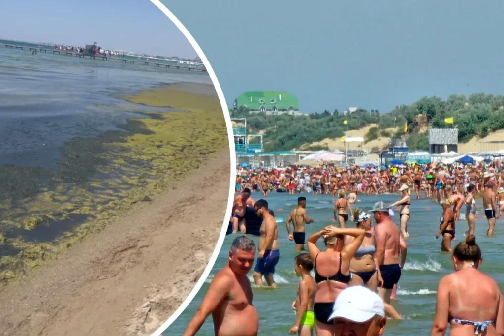 Цветение водорослей в Анапе: что происходит на пляжах и куда поехать вместо этого