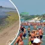 Цветение водорослей в Анапе альтернатива