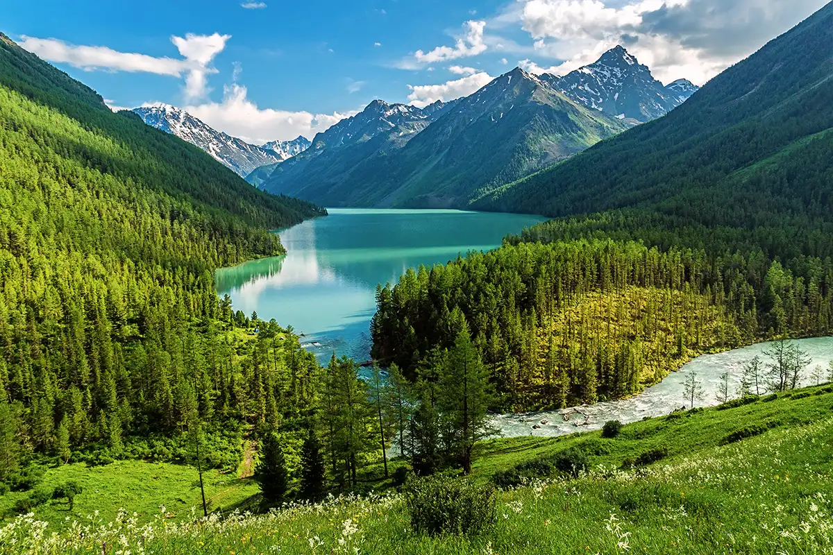 Карелия и Алтай туризм