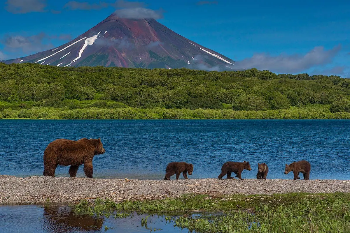 Отдых на Камчатке вулканы и природа Отдых на Камчатке: вулканы, природа, туризм