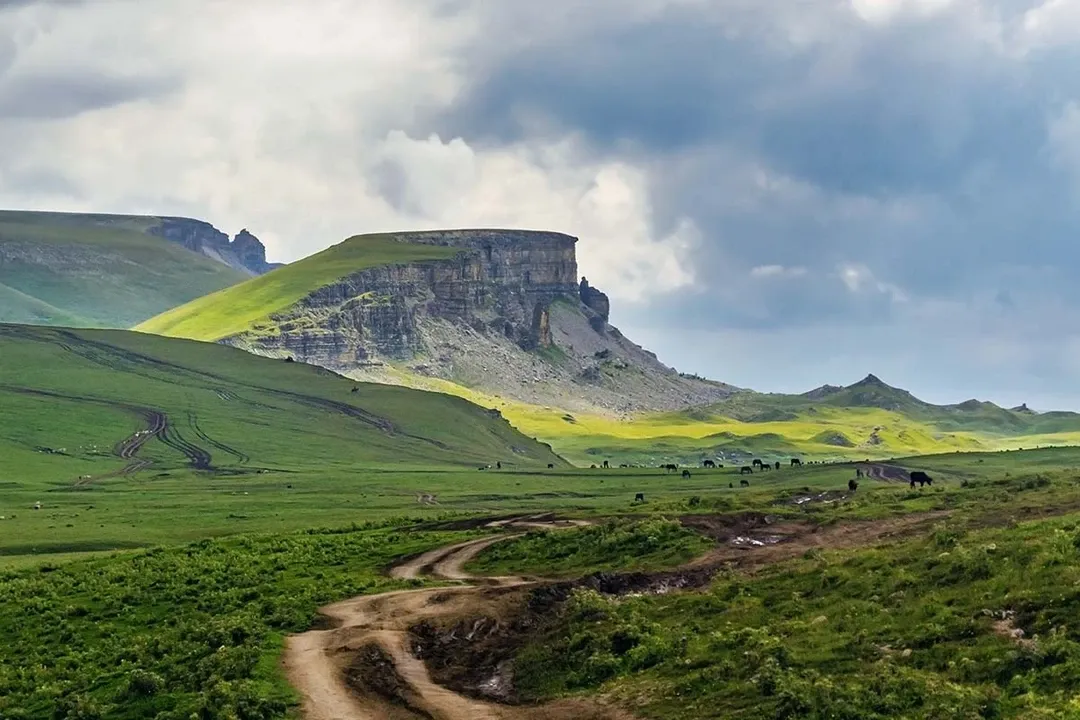 Альпийские луга на плато Бермамыт с пасущимися лошадьми